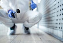 Comment trouver une entreprise spécialisée en dératisation ?