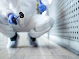 Comment trouver une entreprise spécialisée en dératisation ? Comment trouver une entreprise spécialisée en dératisation ?