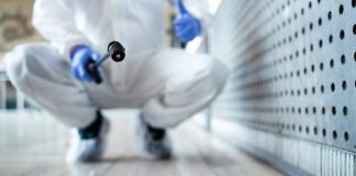Comment trouver une entreprise spécialisée en dératisation ?