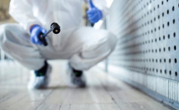Comment trouver une entreprise spécialisée en dératisation ?