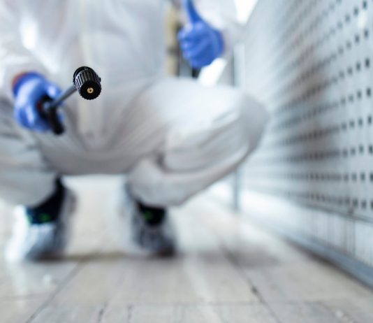 Comment trouver une entreprise spécialisée en dératisation ? Comment trouver une entreprise spécialisée en dératisation ?