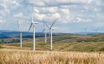 Travailler dans l’éolien : des métiers d’avenir en expansion