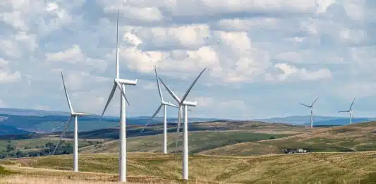 Travailler dans l’éolien : des métiers d’avenir en expansion