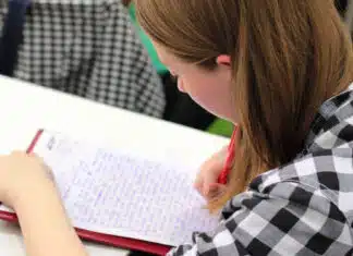 Les avantages de passer par un organisme pour apprendre le management commercial opérationnel